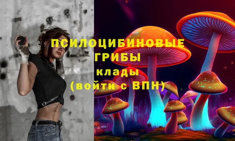 Галлюциногенные грибы MAGIC MUSHROOMS  Камень-на-Оби 